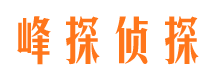 云浮市调查公司